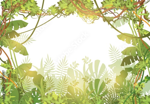 Jungle tropical background. Rainforest with tropic leaves and liana vines. Nature landscape with tropical trees. Vector illustration. Liana jungle green nature, tropical landscape forest