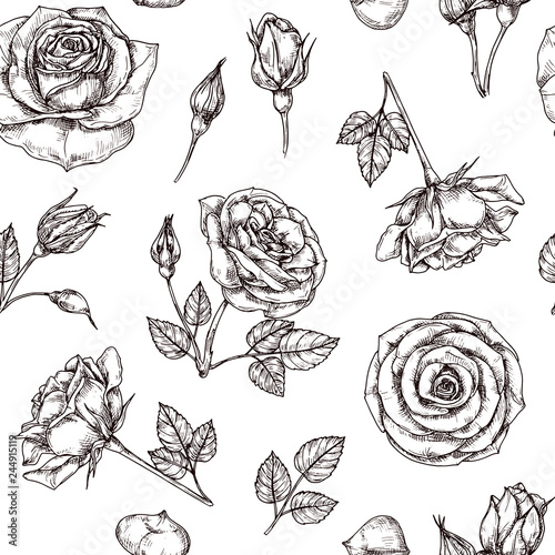 Roses seamless pattern. Hand drawn rose floral textere. Flower fabric repeat vector vintage background. Rose with petal sketch illustration photo