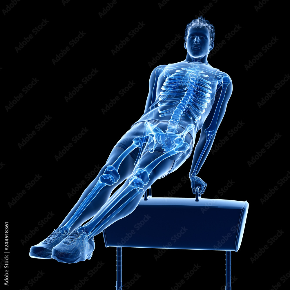 3d rendered medically accurate illustration of the skeleton of a gymnast 3d rendered medically accurate illustration of the skeleton of a gymnast