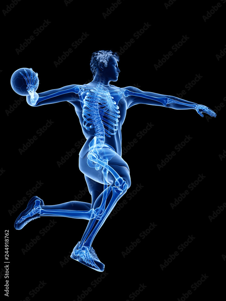 3d rendered medically accurate illustration of the skeleton of a handball player