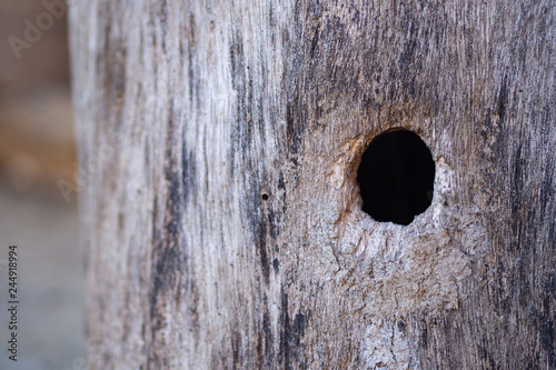 Close-up Of old wood with a hole in the middle for bee entrance.