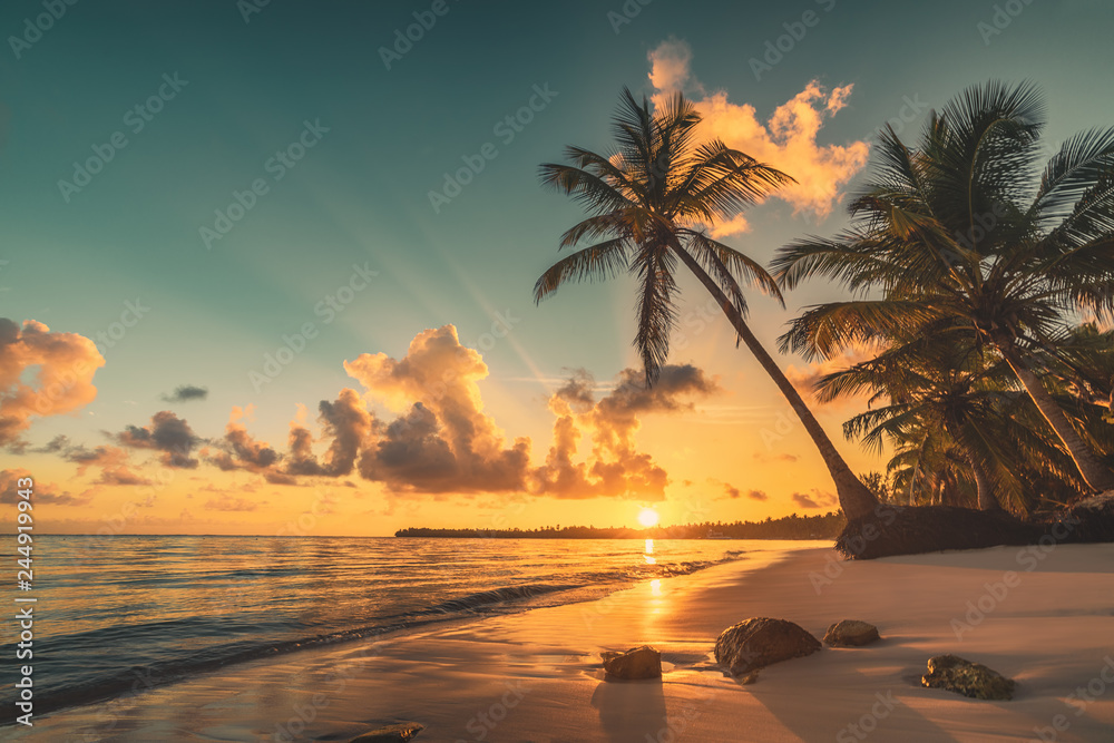 Fototapeta Tropikalna plaża w Punta Cana, Dominikana. Palmy na piaszczystej wyspie na oceanie.