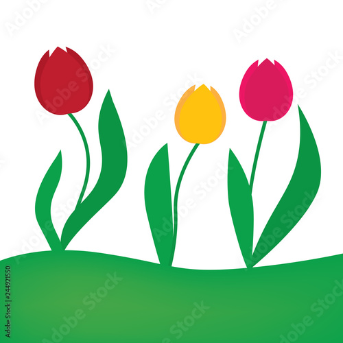 colorful tulips background- vector illustration