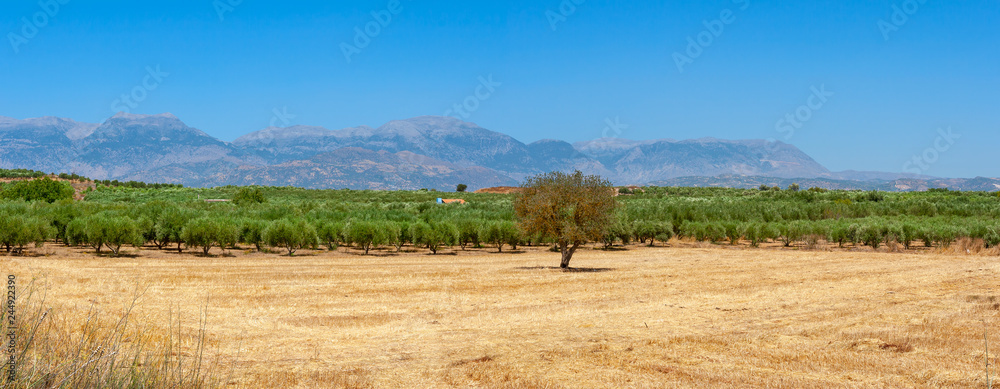 Messara plain view. Crete, Greece