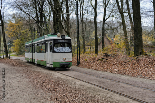tram rides through the spring park
