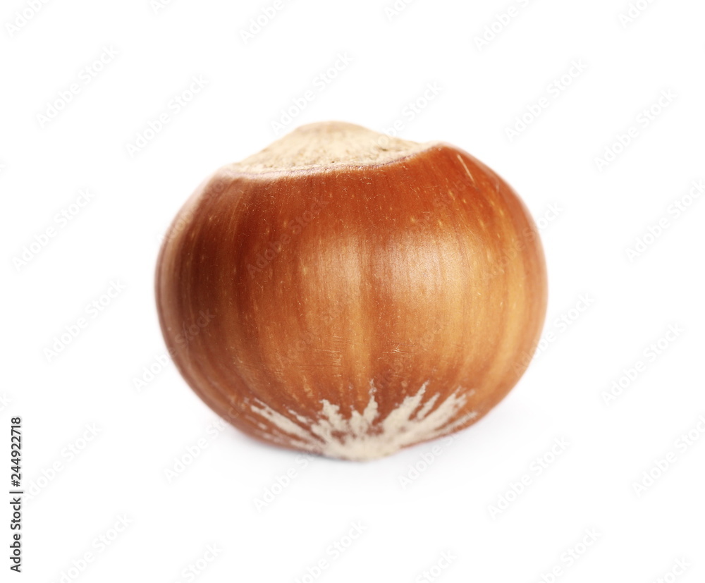 Hazelnut isolated on white background Hazelnut isolated on white background