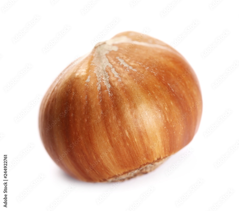Hazelnut isolated on white background Hazelnut isolated on white background