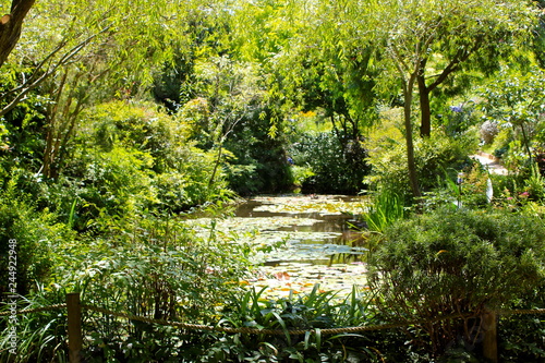 path in garden