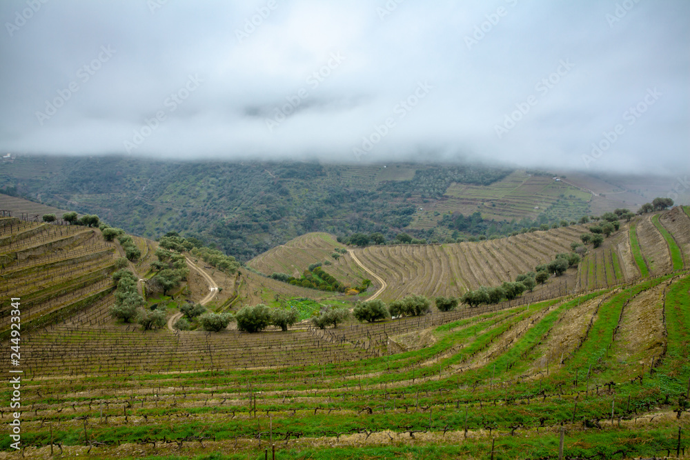 Foggy Douro Valley Landscape in Winter