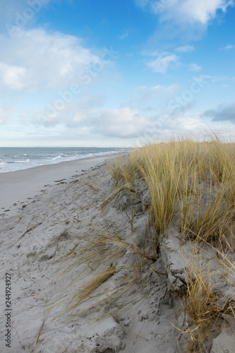 Fototapeta Naklejka Na Ścianę i Meble -  landscape at baltic sea with dune