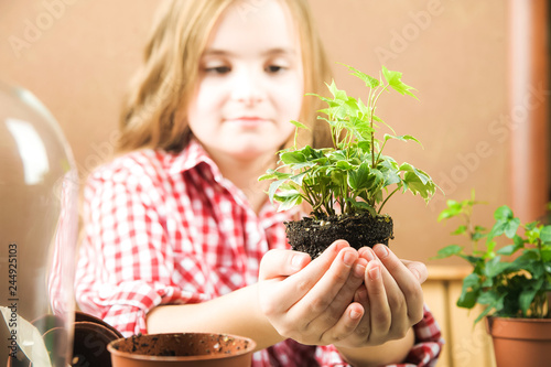 A girl is holding a pot with a flower. a girl in a plaid shirt in her hands a ground with heather ivy. Transplanting potted plants at home