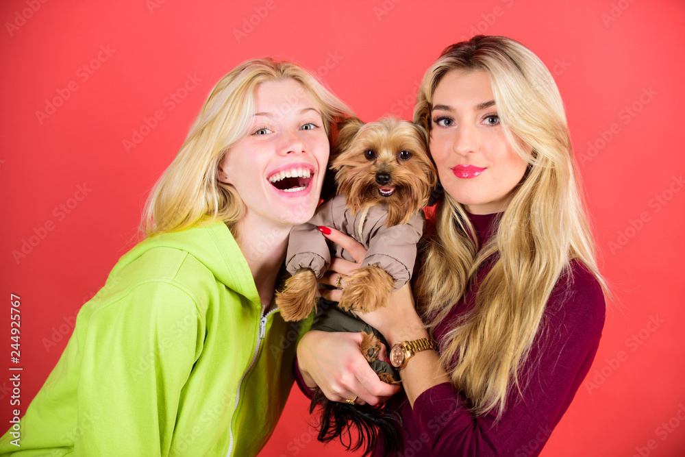 Are Yorkshire Terriers Loving