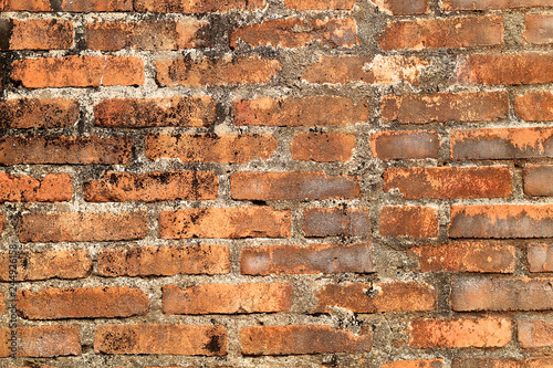 brick texture background