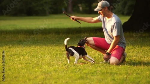 Dog training. Evening walk in the park. A man and a dog are playing with a stick. The owner takes the stick from the dog photo