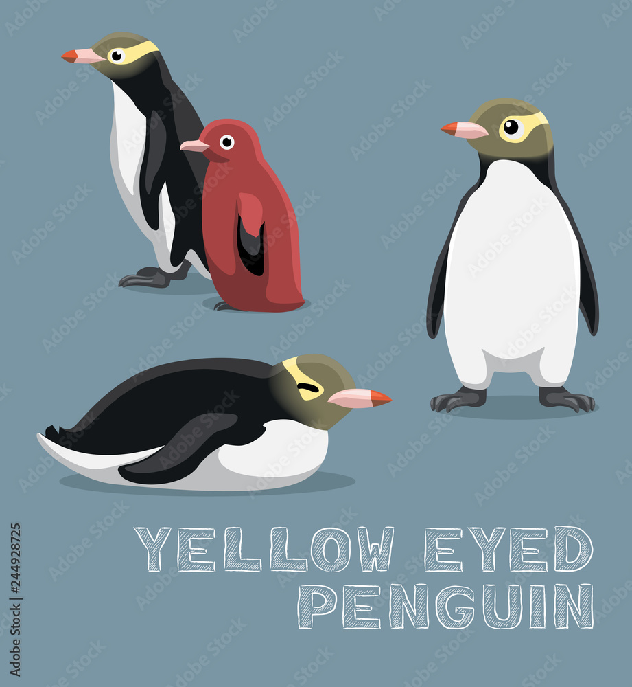 Obraz premium Yellow-eyed Penguin Cartoon Vector Illustration