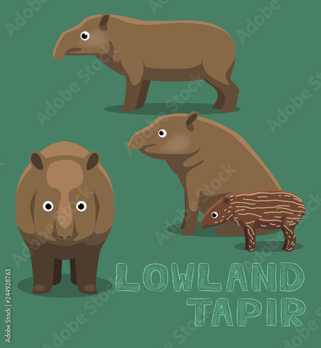 Lowland Tapir Cute Cartoon Vector Illustration
