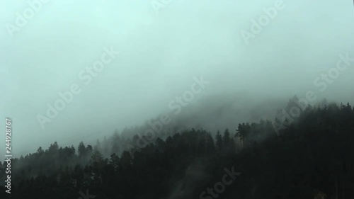 Fog Mountains Trees in Austria, Tyrol photo