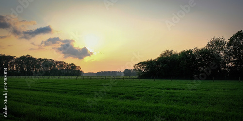 Typical dutch landscape in the summer © Mathieu