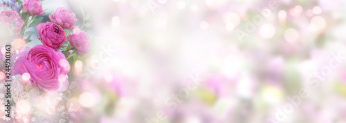 Roses on pastel colored spring background