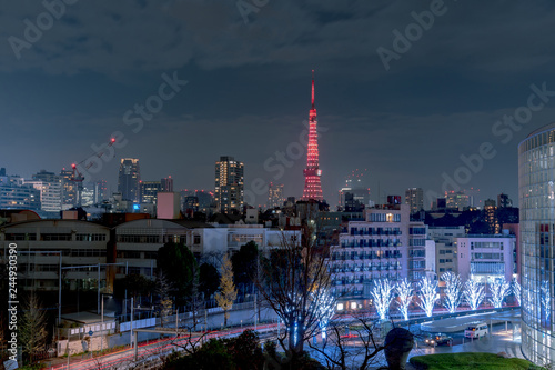 Night view at Mori Garden during winter illumination with Tokyo tower as background photo