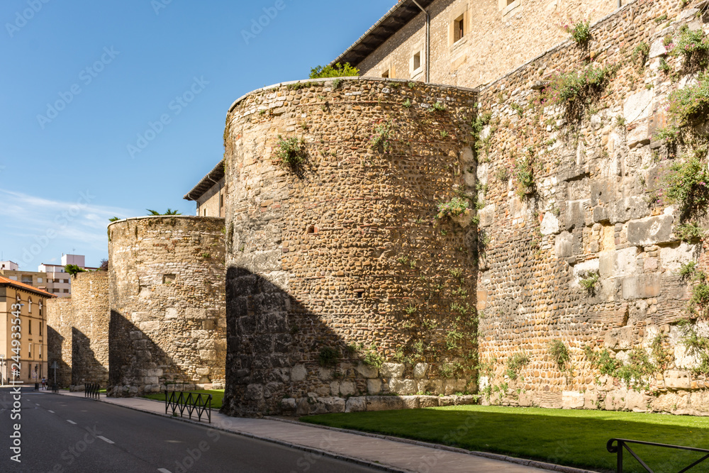 Wall of the city of Leon in Spain, Asturian style lions