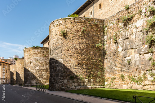 Wall of the city of Leon in Spain, Asturian style lions