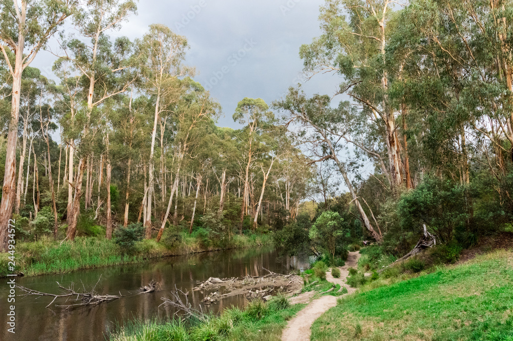 Walking track along the Yarra River in Warrandtye in Melbourne, Australia Walking track along the Yarra River in Warrandtye in Melbourne, Australia