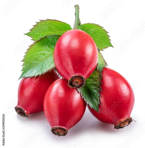 Fototapeta Naklejka Na Ścianę i Meble -  Rose hips with rose leaves isolated on a white background.