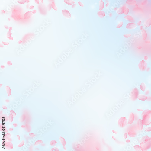 Fototapeta Naklejka Na Ścianę i Meble -  Sakura petals falling down. Romantic pink flowers 