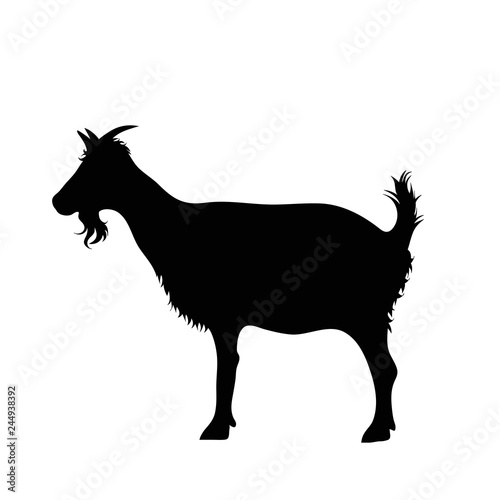 Vector silhouette of goat on white background.