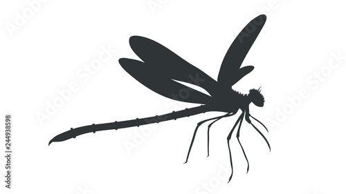 Vector silhouette of dragonfly on white background.