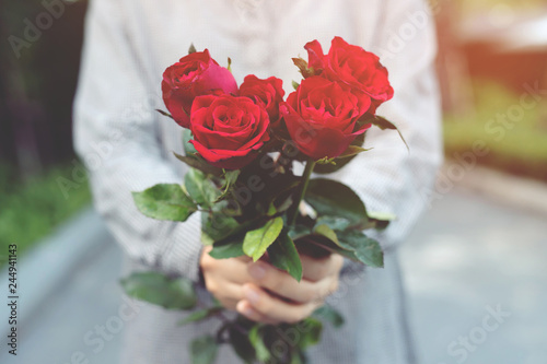 Fototapeta Naklejka Na Ścianę i Meble -  young woman two hands holding red rose flower nature beautiful flowers with leave copy space empty write messages in Valentines day, wedding or romantic love concept. 
