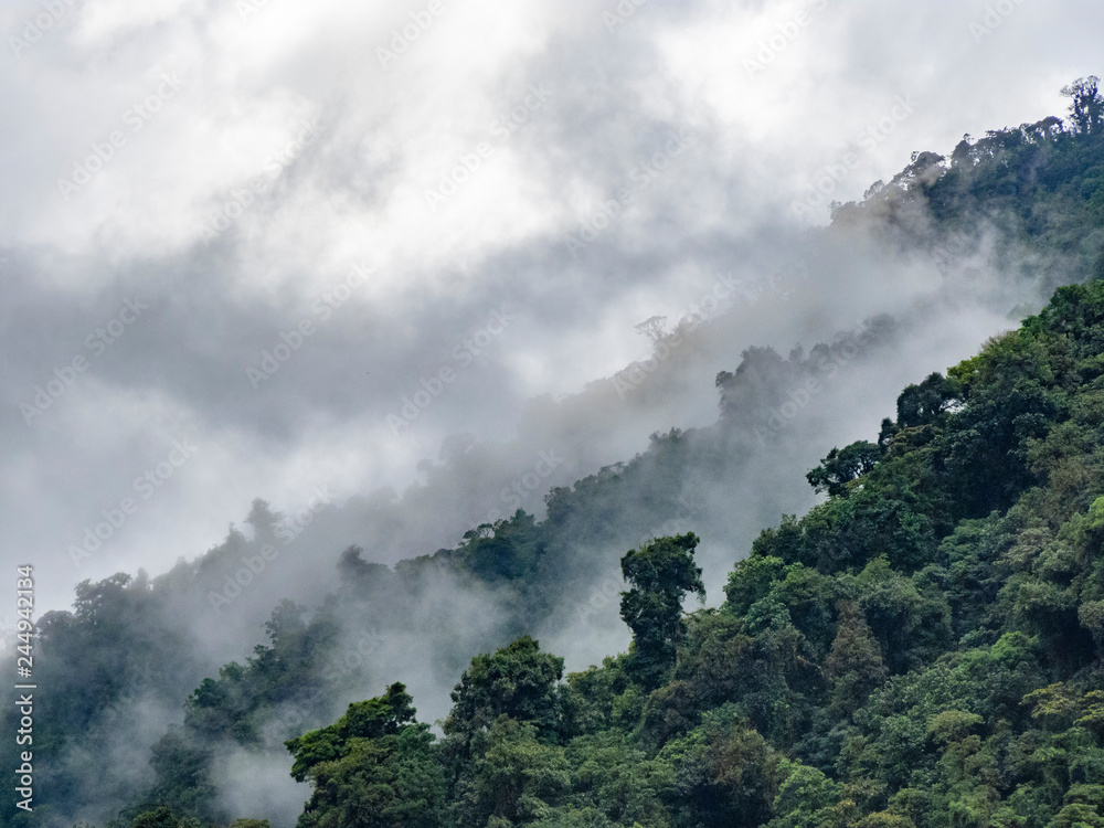 foggy landscape in the costa rica rain forest foggy landscape in the costa rica rain forest