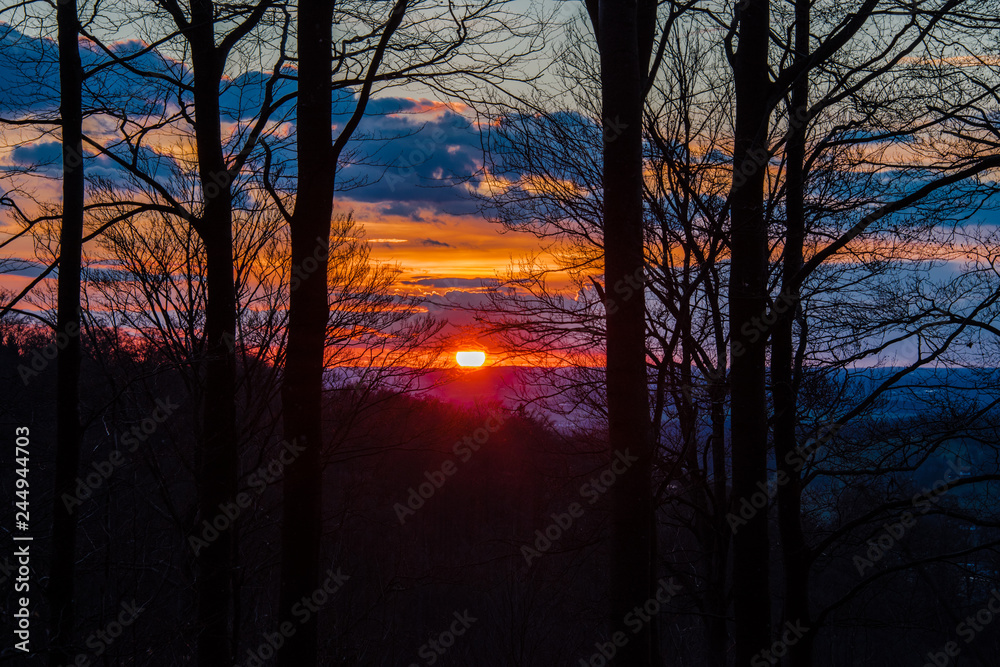 Fototapeta premium Sonnenuntergang zwischen Bäumen