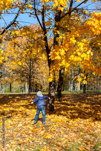 boy foliage park fall © rsooll