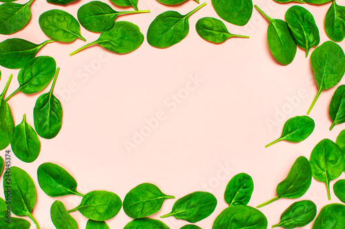 Frame of fresh green spinach leaves on pink background Flat lay top view. Creative food concept. Ingredient for salad. Vegetable pattern design. Healthy lifestyle.