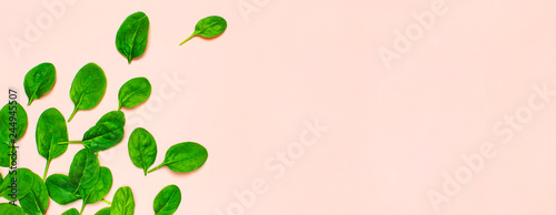Fresh green spinach leaves on pink background Flat lay top view copy space. Creative food concept. Ingredient for salad. Vegetable design. Healthy lifestyle.