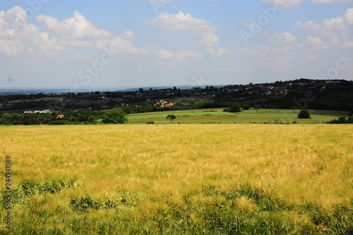 Landscape in Serbia