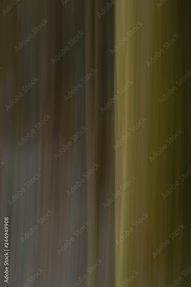 Obraz premium Abstract tree trunks, motion blurred, Belledonne mountains, Isere, France