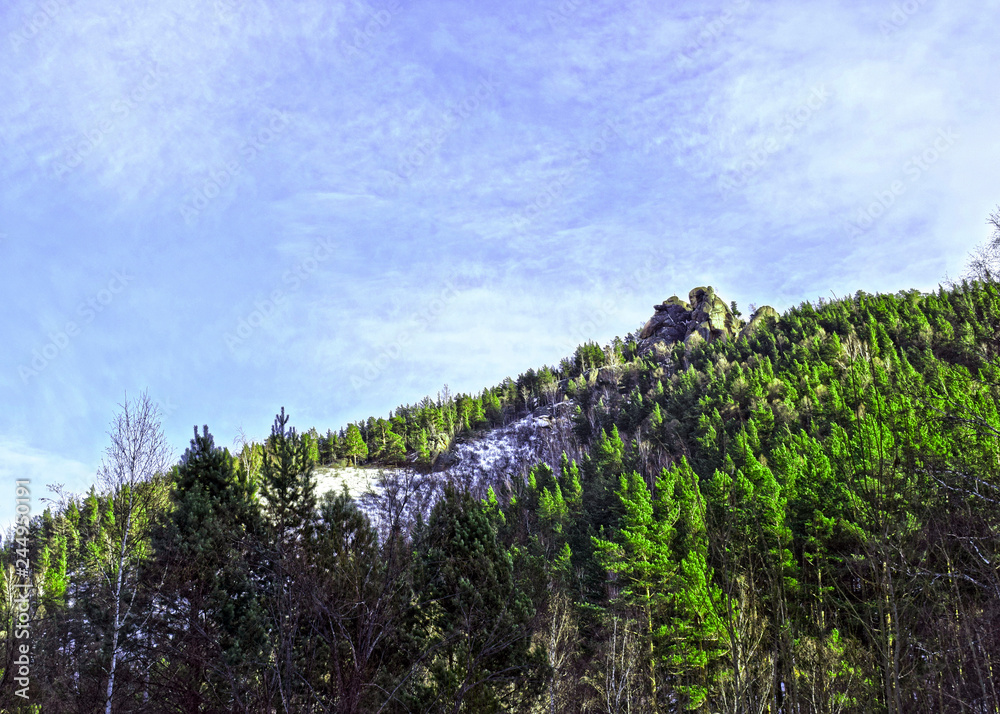 panoramic view of snowy mountains.Rocks surrounded by forest. The peak of a high mountain.