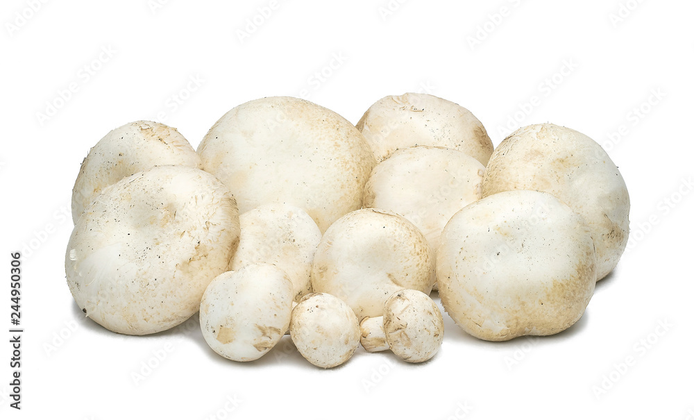 Champignon mushrooms artificially grown on a white background