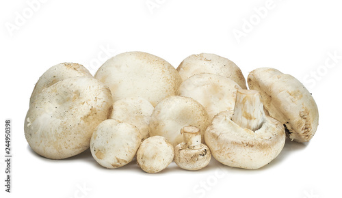 Champignon mushrooms artificially grown on a white background