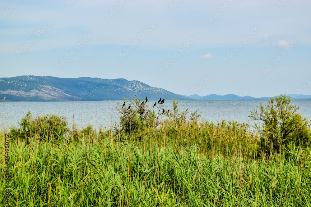 Lake Vrana, Croatia.