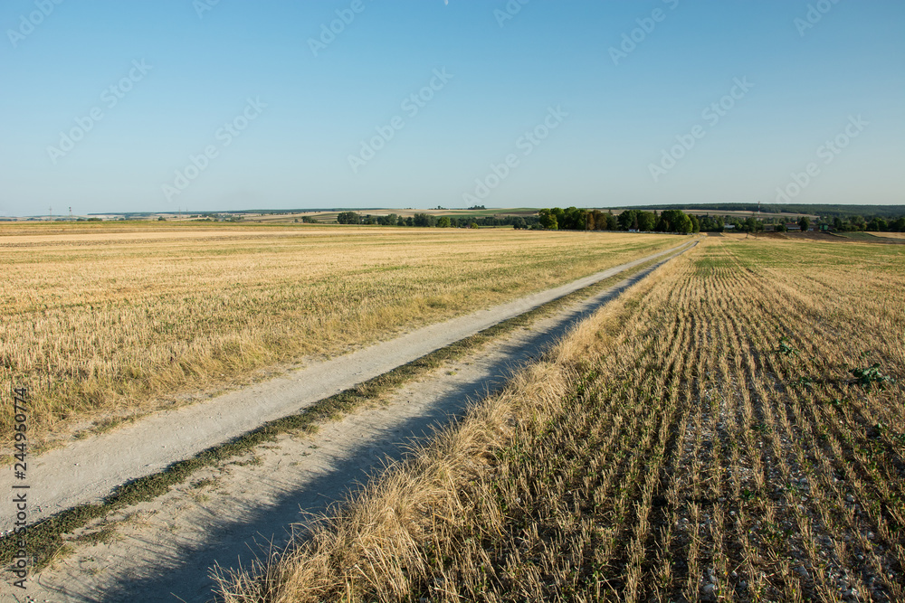 Country road through the fields of stubble, blue sky and horizon