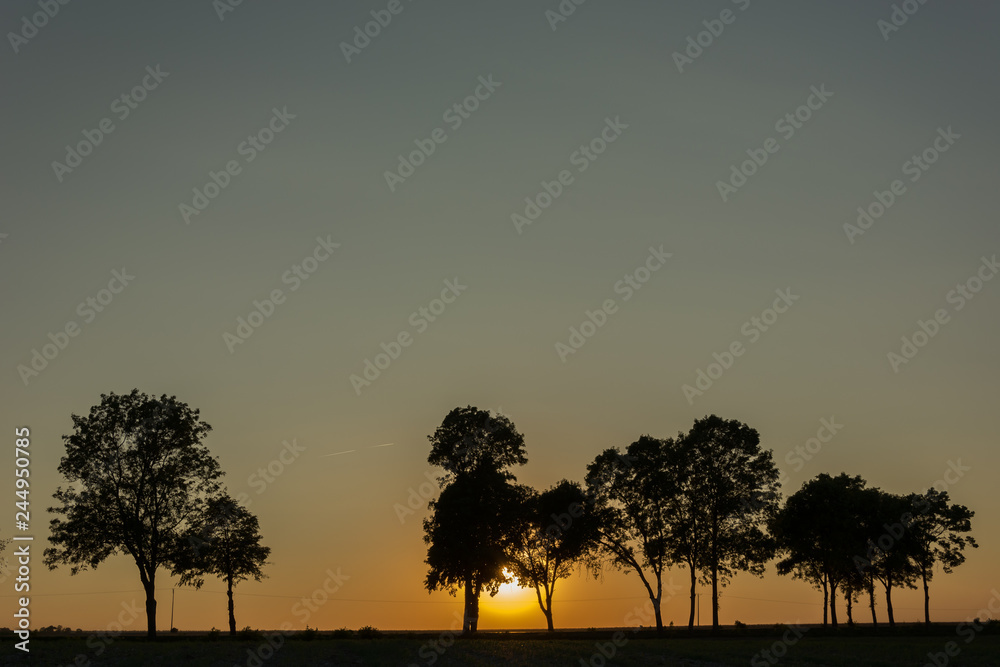 The sun sets behind the trees to the horizon and the evening sky The sun sets behind the trees to the horizon and the evening sky