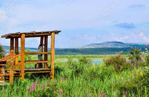 Lake Vrana, Croatia. photo