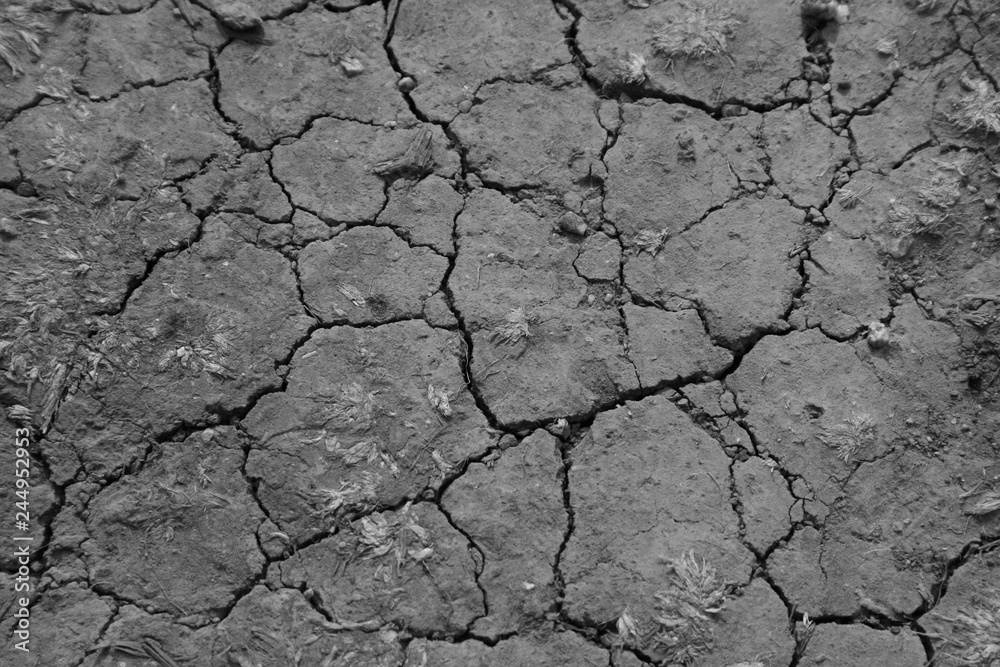 Drought Drought