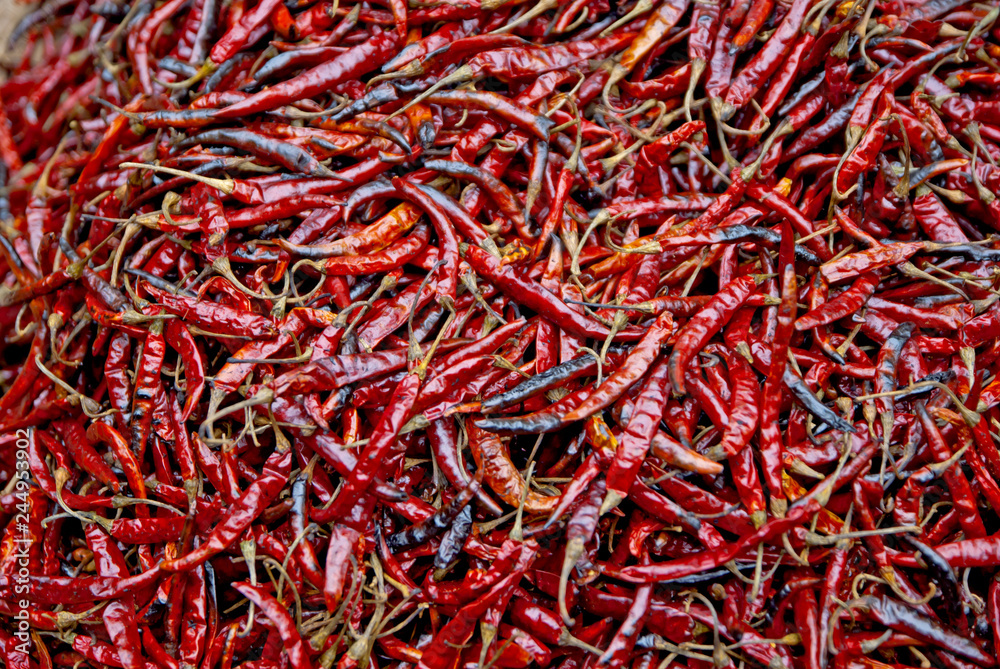 dried chilli burn, dried chilli burn from Thailand contry dried chilli burn, dried chilli burn from Thailand contry