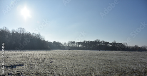 Wallpaper Mural Winter trail with horses Torontodigital.ca