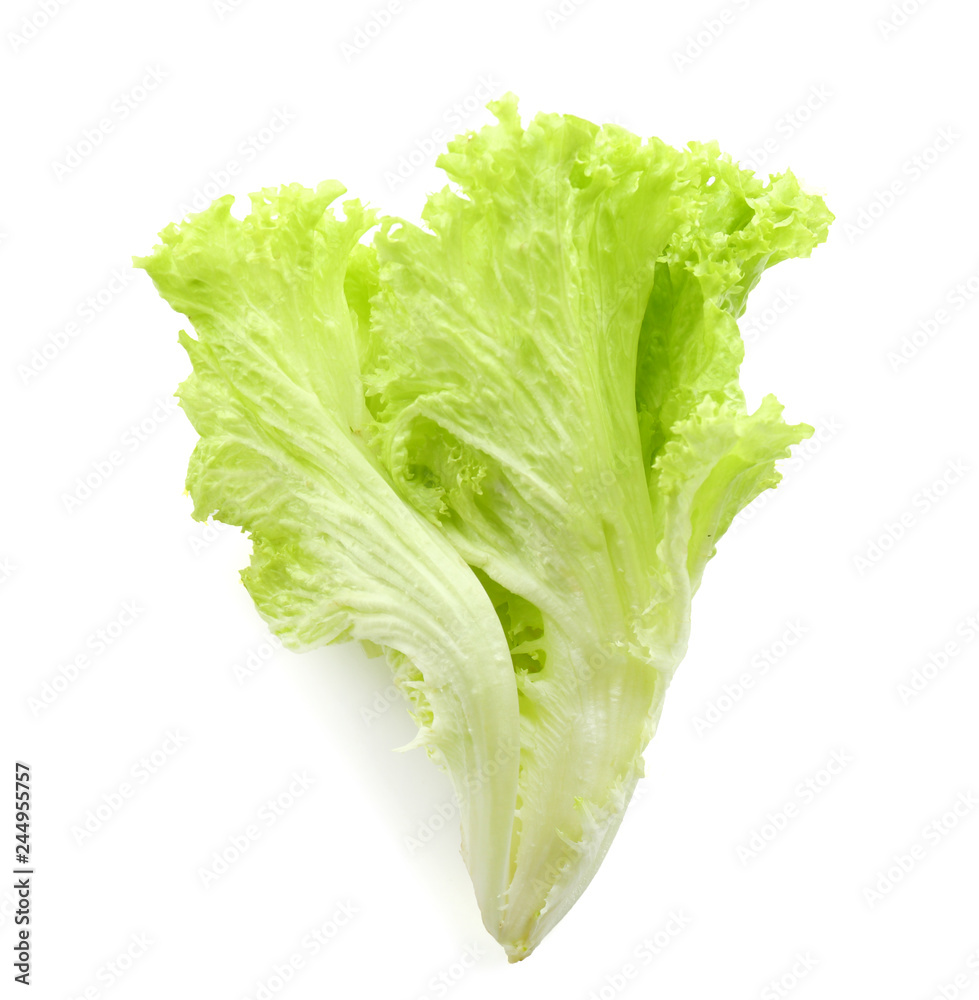 Fresh lettuce salad on white background Fresh lettuce salad on white background